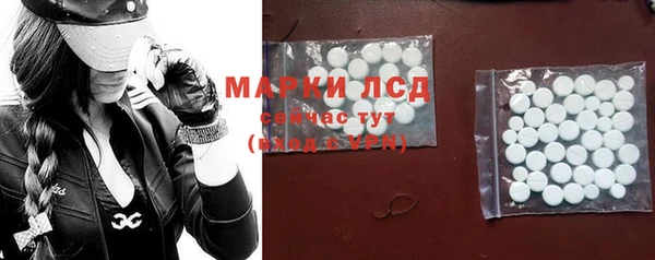 мяу мяу мука Гусь-Хрустальный