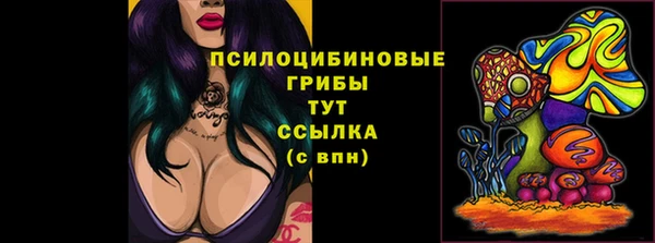 амфетамин Гусев