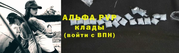 мяу мяу мука Гусь-Хрустальный
