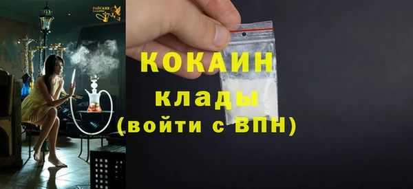 мяу мяу мука Гусь-Хрустальный