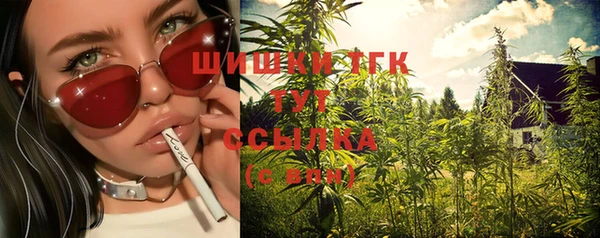 2c-b Гусиноозёрск