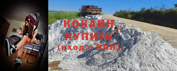 мяу мяу мука Гусь-Хрустальный