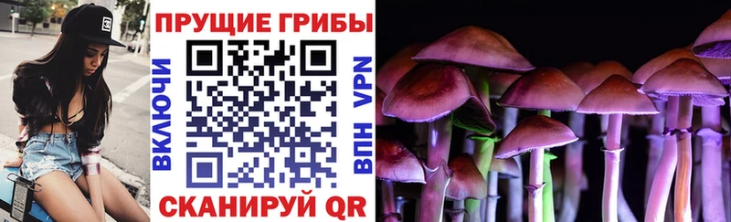 Галлюциногенные грибы GOLDEN TEACHER  Купить  Ишимбай 
